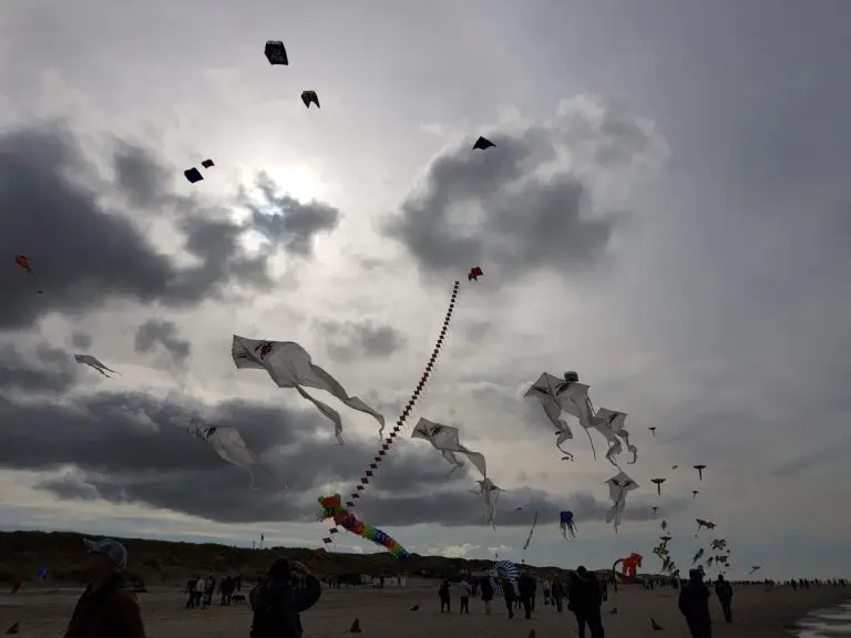 Besloten om los te laten om vooruit te komen leg contact via het contact en aanmeld formulier